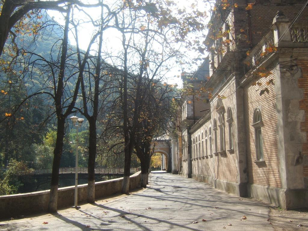 Hotel Pensiunea Floare De Colt Băile Herculane Exterior foto